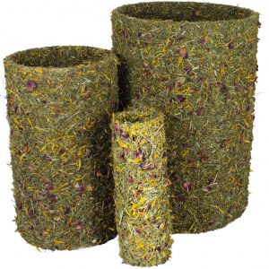 JR Frühlings-Rolle mittel 430g