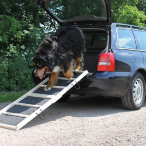 Easy-Hopper Hunderampe Extra Breit Komfort Natur mit Rasenbelag