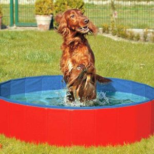 Karlie DOGGY POOL der Swimmingpool für Hunde - Rot-Blau - 80 cm