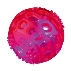Trixie Blink-Ball aus TPR - 6 cm