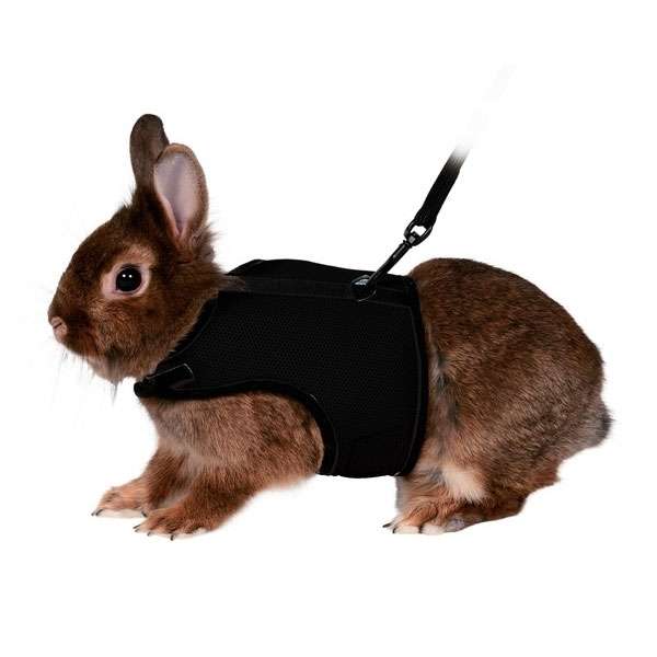 Trixie Softgeschirr für Kaninchen – Bild 3