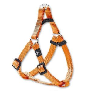 Karlie ASP Step&Go Geschirr - Orange - 20 mm, 53-77 cm