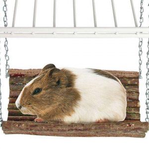 Karlie RODY SWING Nagerschaukel - M